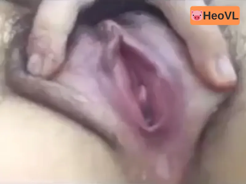 Con ghệ show cận cảnh bướm đang thở